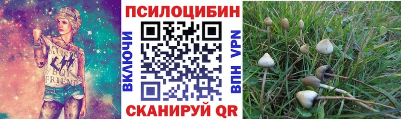 KRAKEN зеркало  Липецк  Галлюциногенные грибы Psilocybine cubensis 