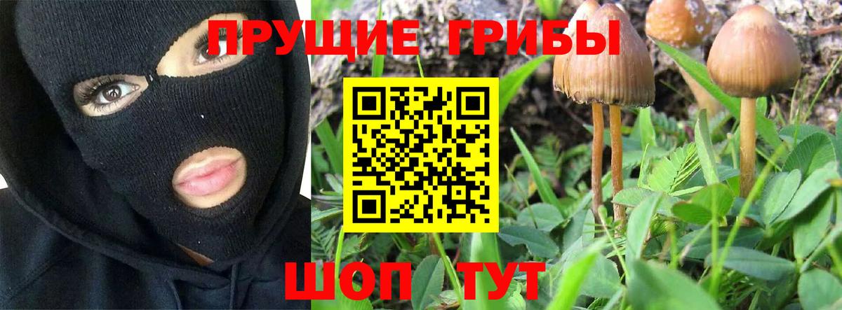 Псилоцибиновые грибы Cubensis  Вход с VPN  Липецк 