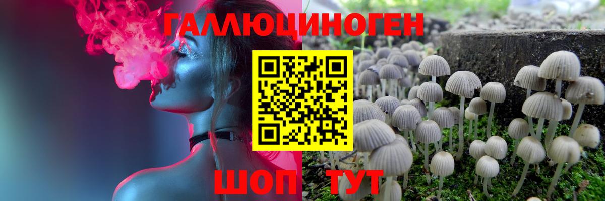 Псилоцибиновые грибы мицелий  Псилоцибиновые грибы MAGIC MUSHROOMS  Липецк 